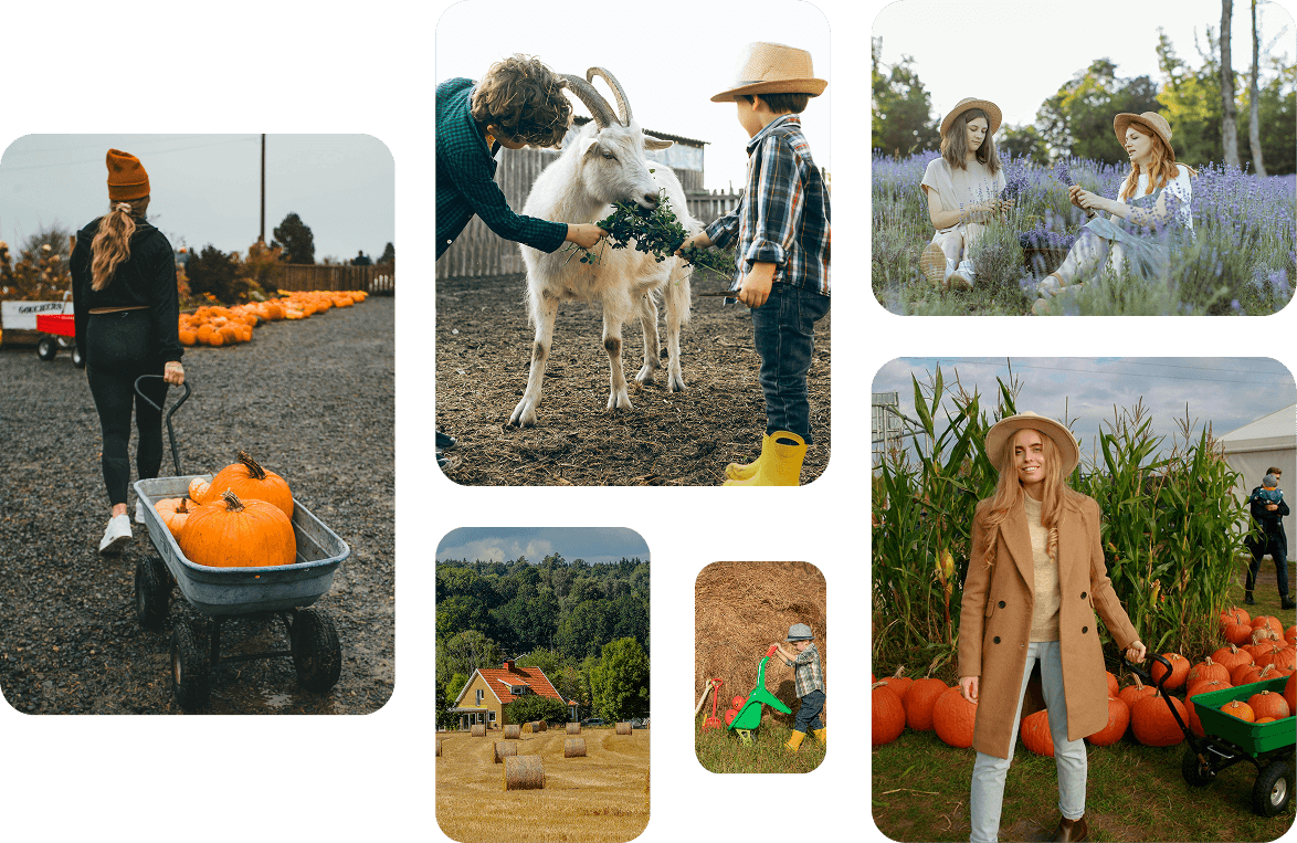 Agritourism booking software